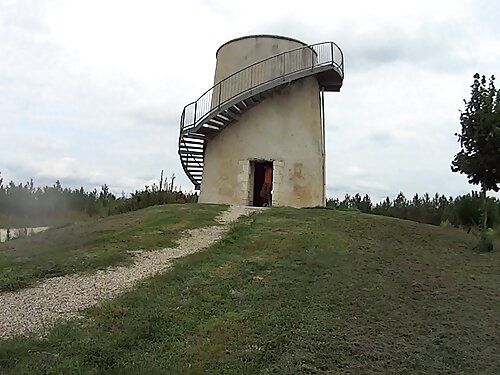 Giovane ragazza succ ...